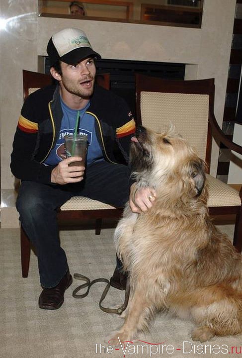 Daniel Gillies Daniel Gillies
