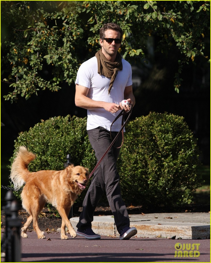 Ryan Reynolds