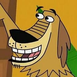 Dukey