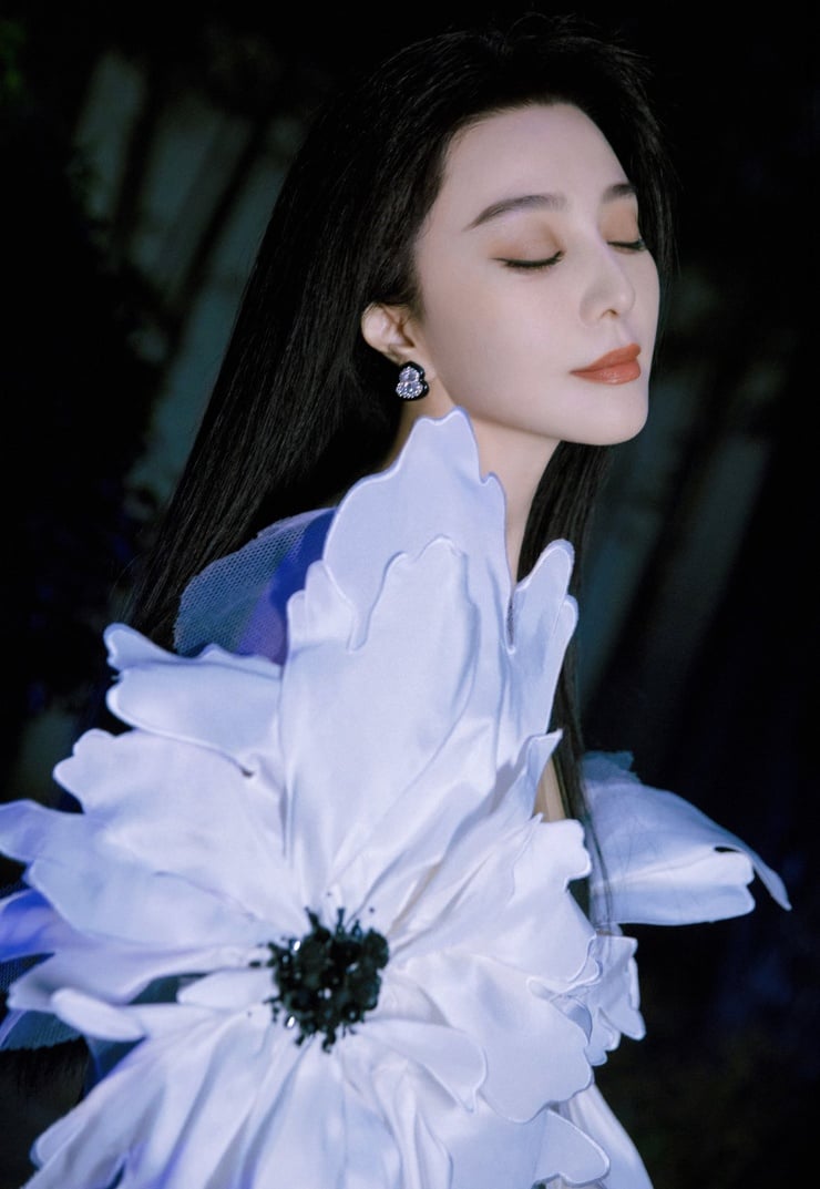 Bingbing Fan Bingbing Fan