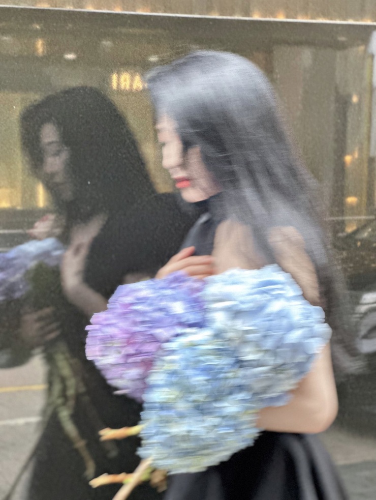Bingbing Fan