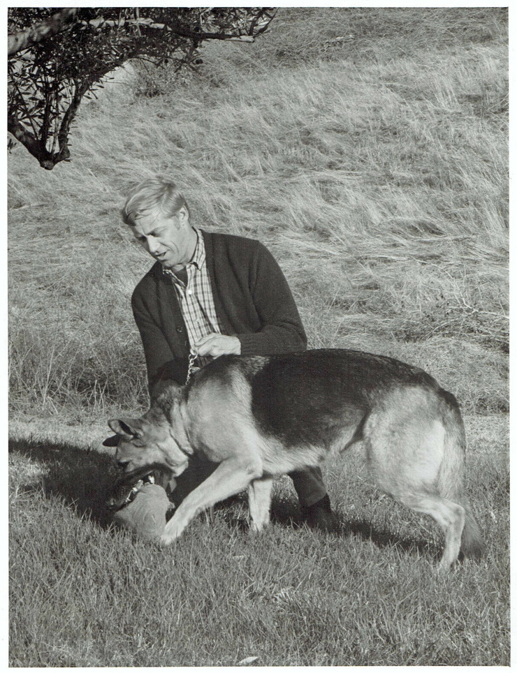 Don Dubbins