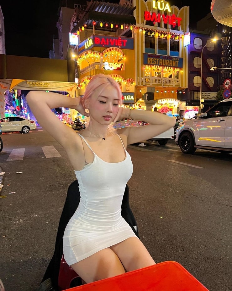 Vyvan Le