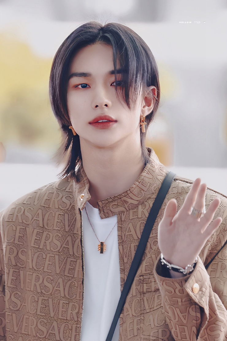 Hyun-Jin Hwang