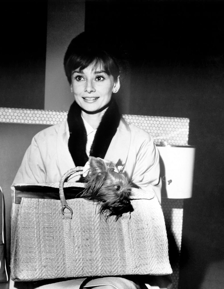 Audrey Hepburn Audrey Hepburn
