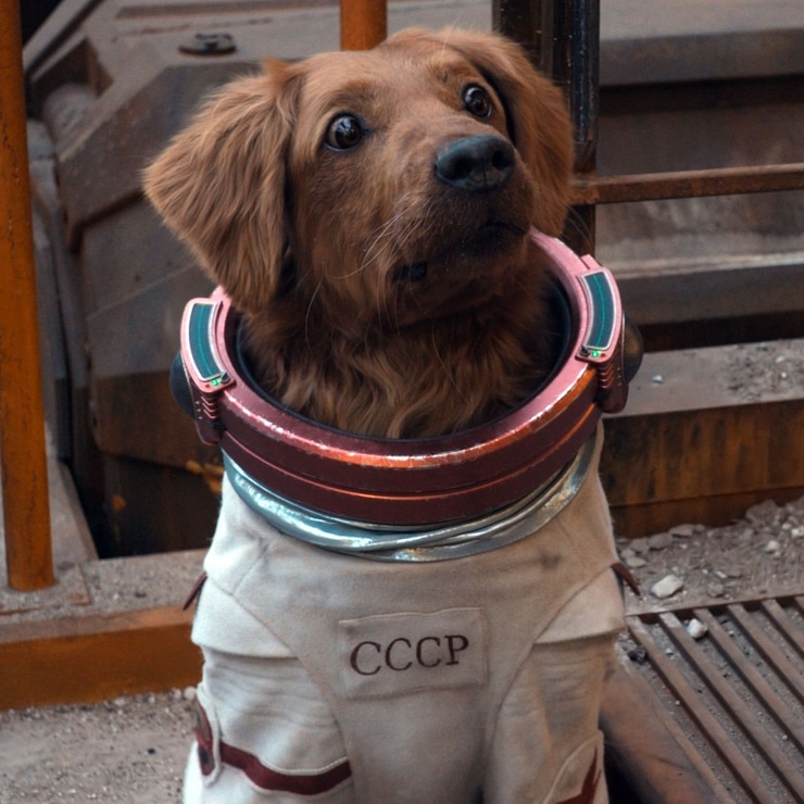 Cosmo (Maria Bakalova)