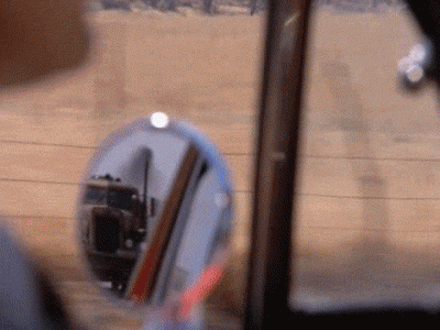 Duel