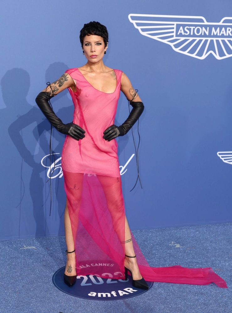 Halsey Picture halsey-picture