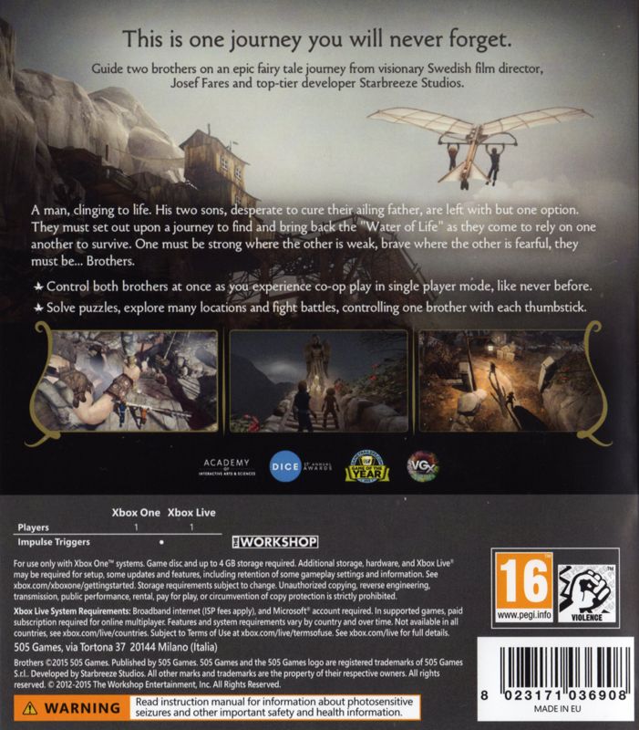 Brothers: A Tale of Two Sons