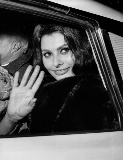 Sophia Loren