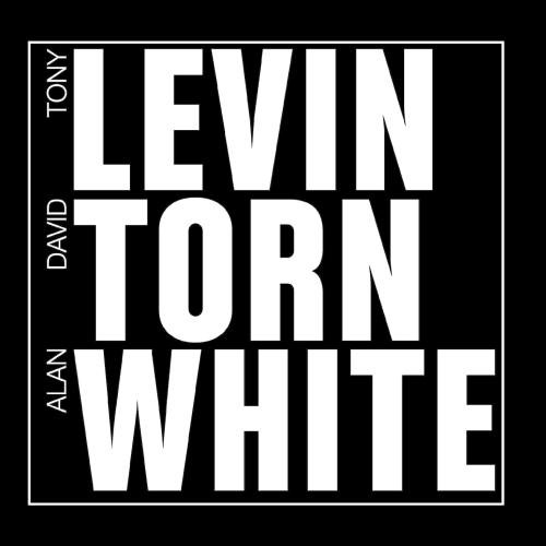 Levin Torn White