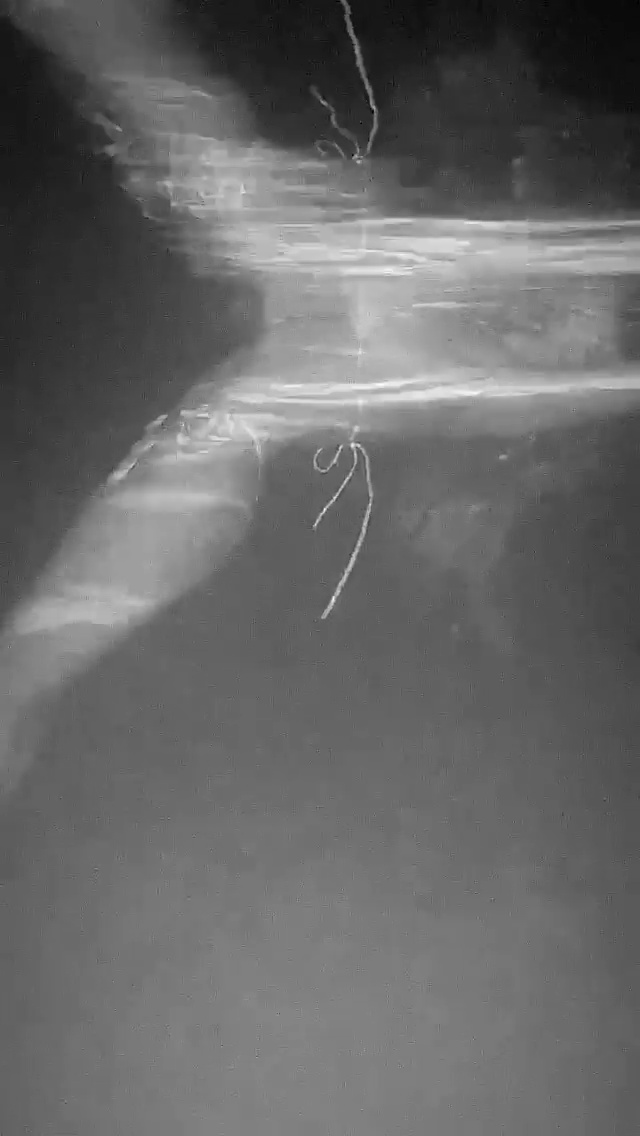 Image of Olya Abramovich