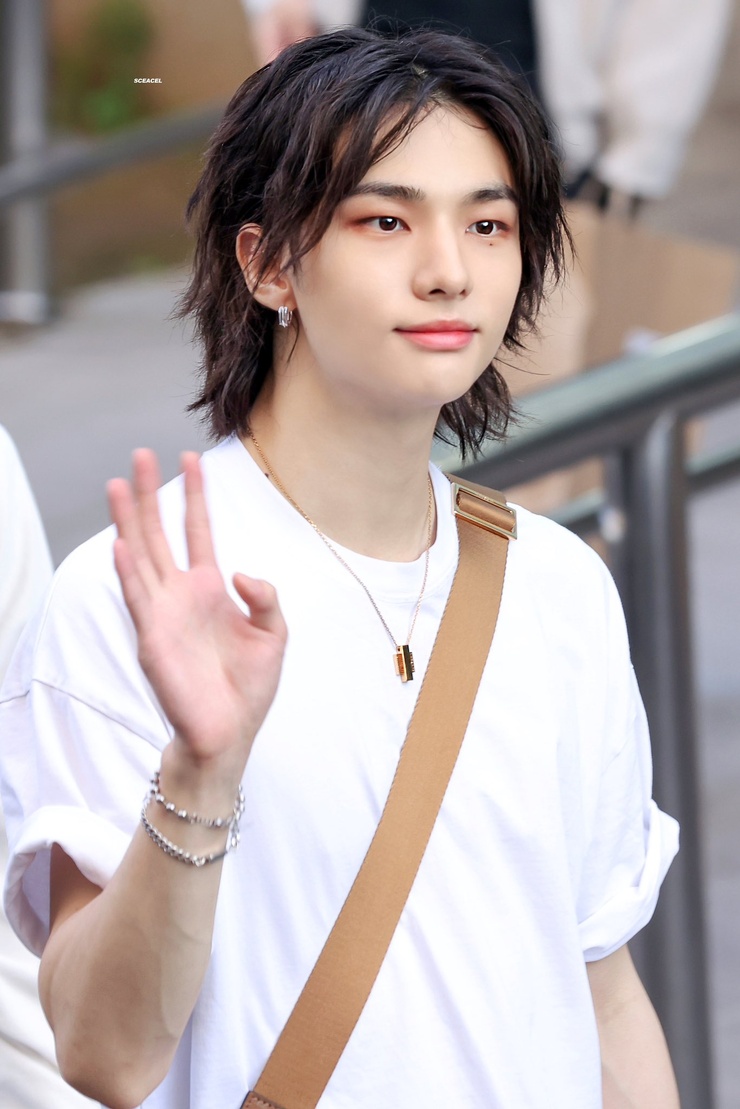 Hyun-Jin Hwang
