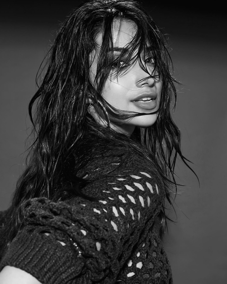 Meenakshi Chaudhary