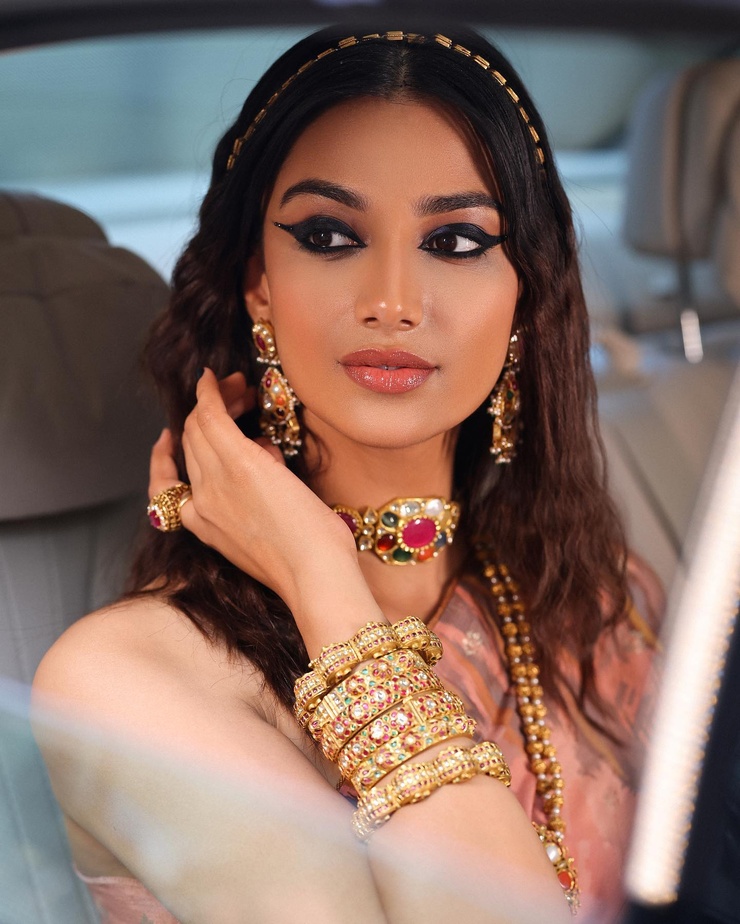 Meenakshi Chaudhary