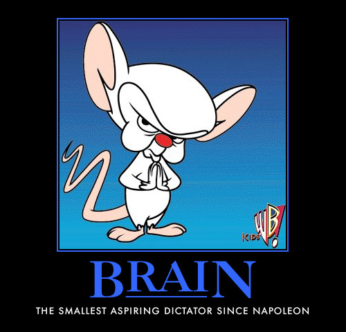 Pinky and the Brain