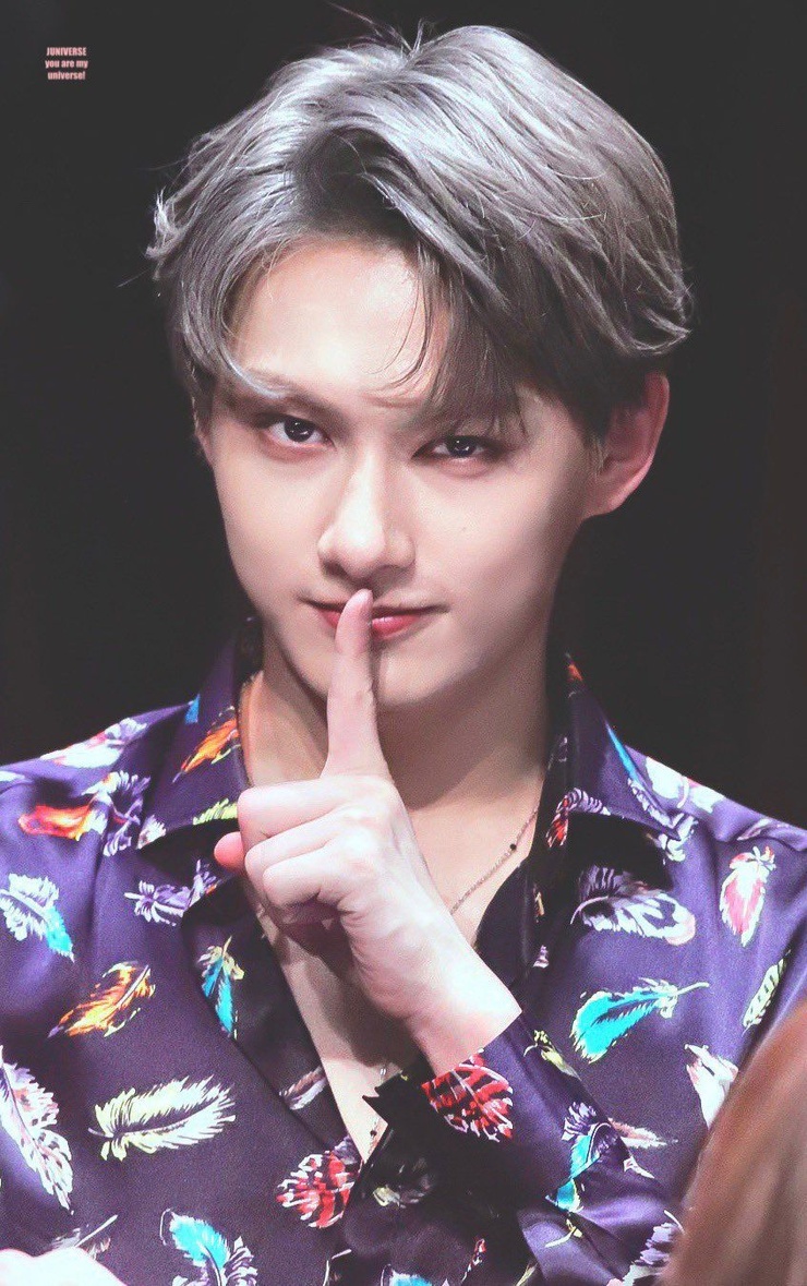 Junhui Wen