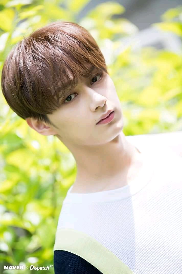 Junhui Wen