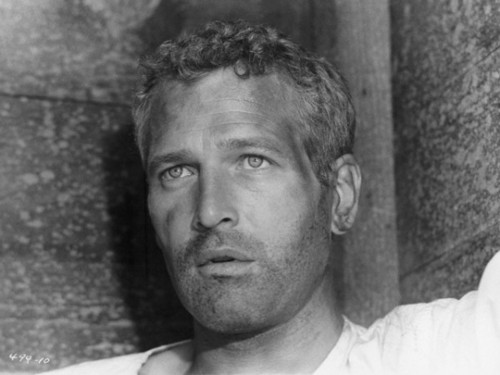 Paul Newman