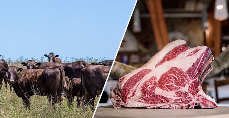 From Pasture to Plate: Tracing the Journey of Jac Wagyu Beef in the Meat Industry