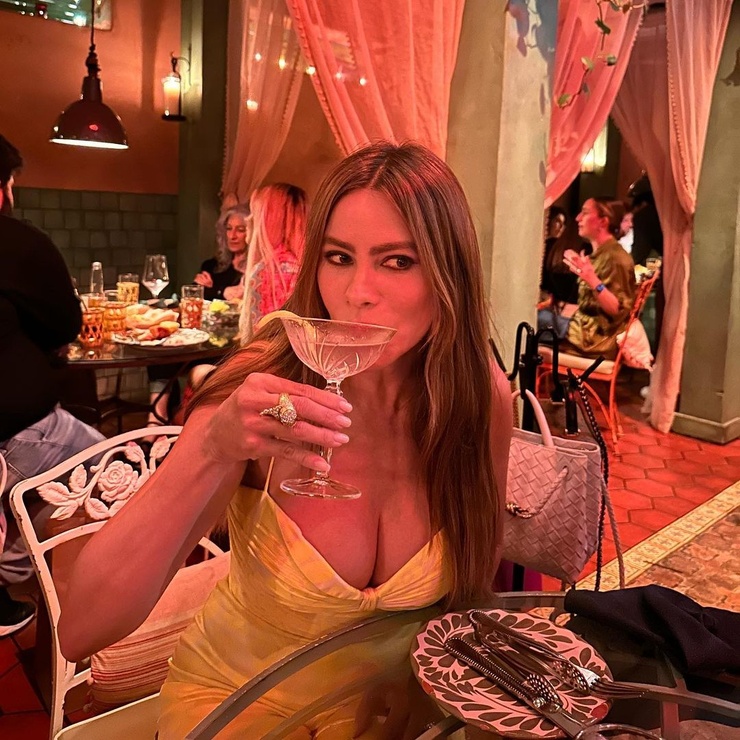 Sofía Vergara