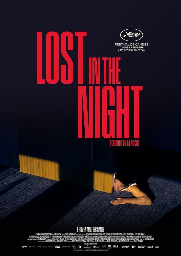 Lost in the Night