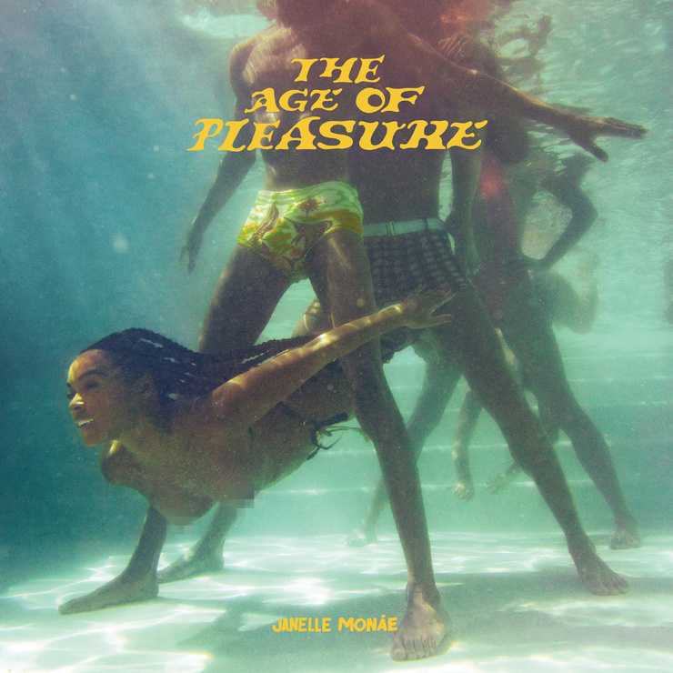 The Age of Pleasure The Age of Pleasure