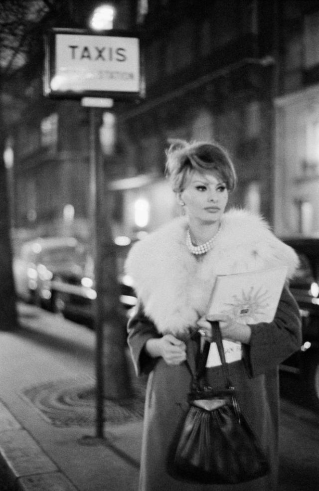 Sophia Loren