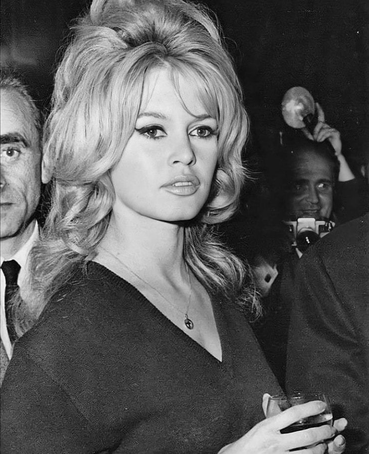 Picture of Brigitte Bardot