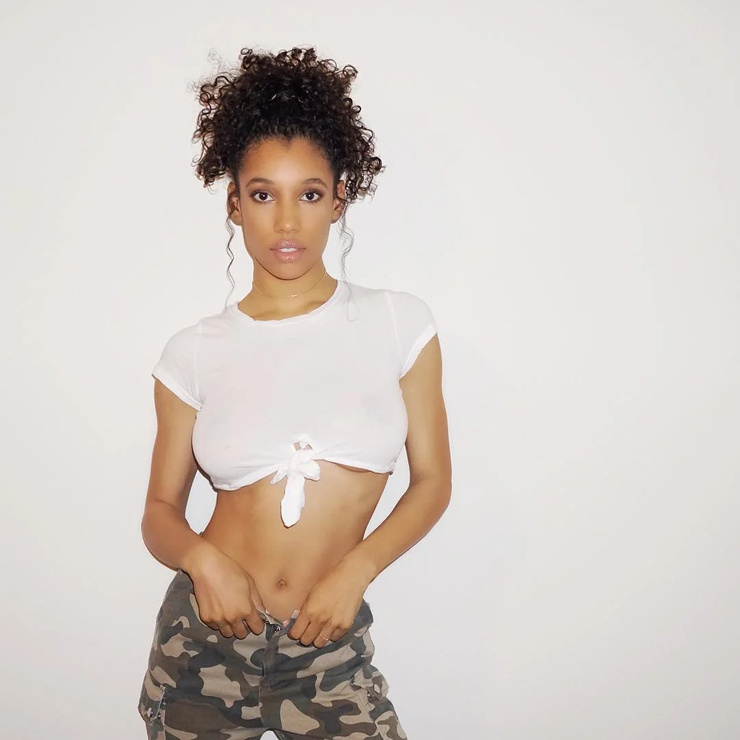 Brookliyn wren