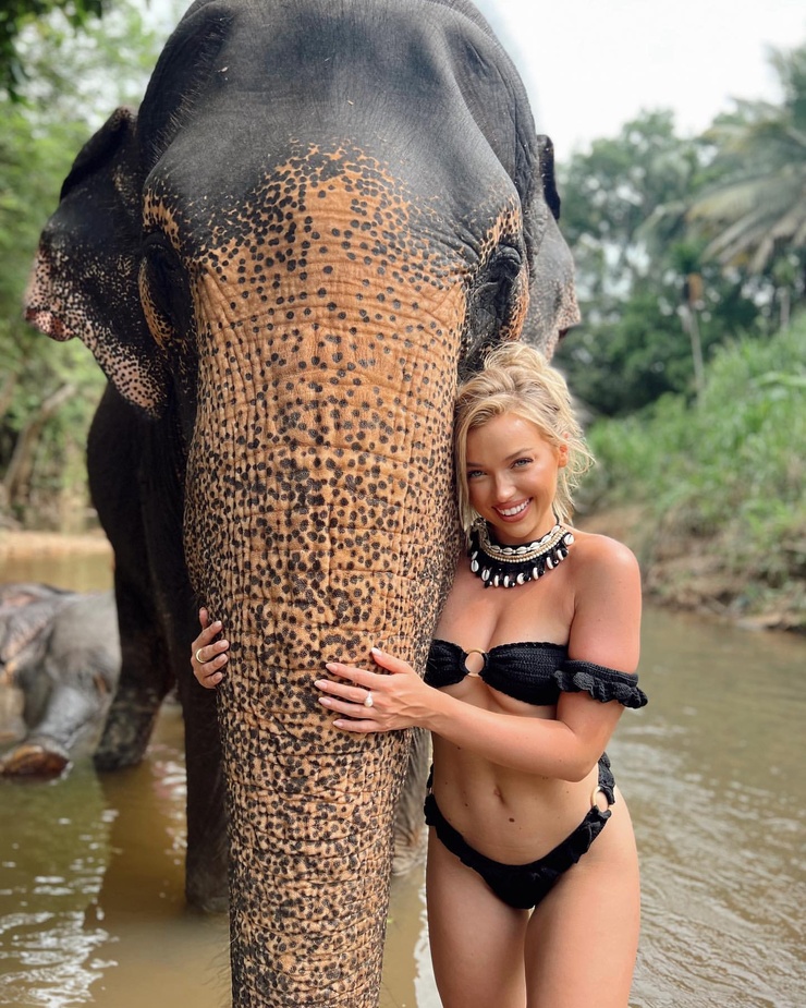 Picture of Alison Kay Bowles