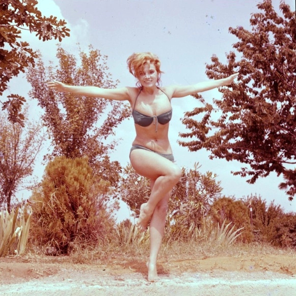 Scilla Gabel
