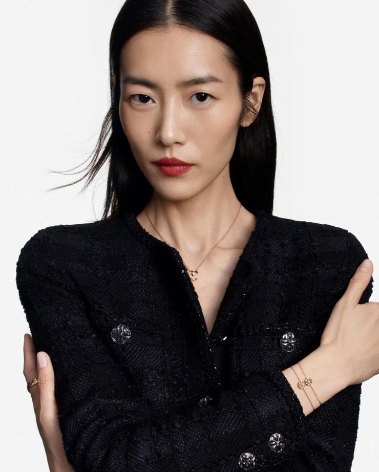 Liu Wen