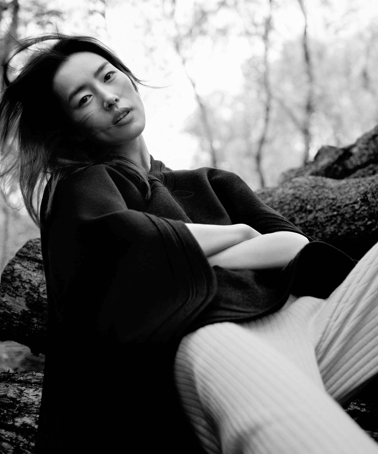 Liu Wen