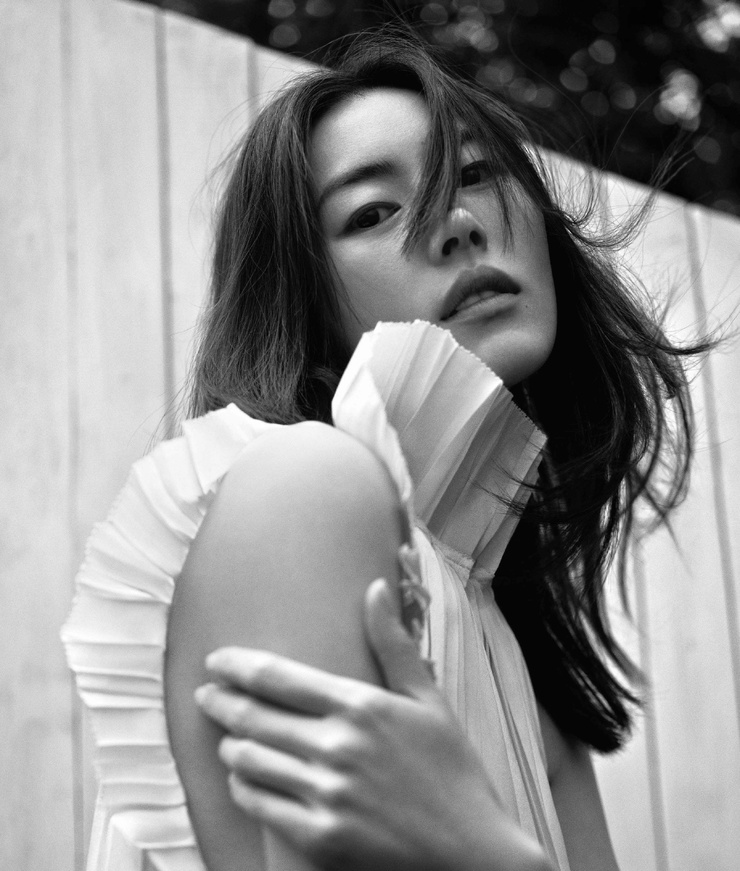 Liu Wen
