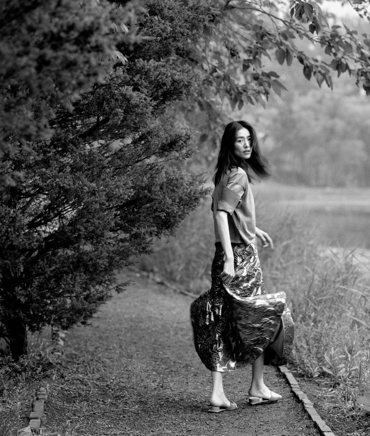 Liu Wen