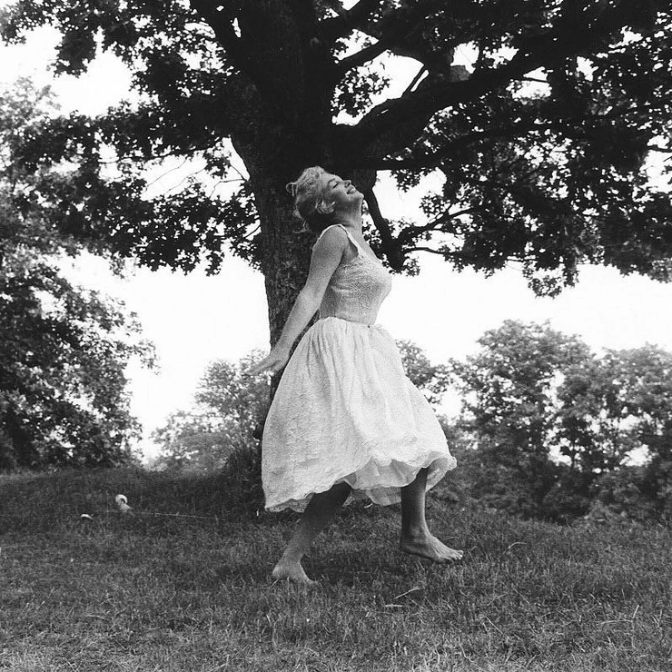 Marilyn Monroe Marilyn Monroe