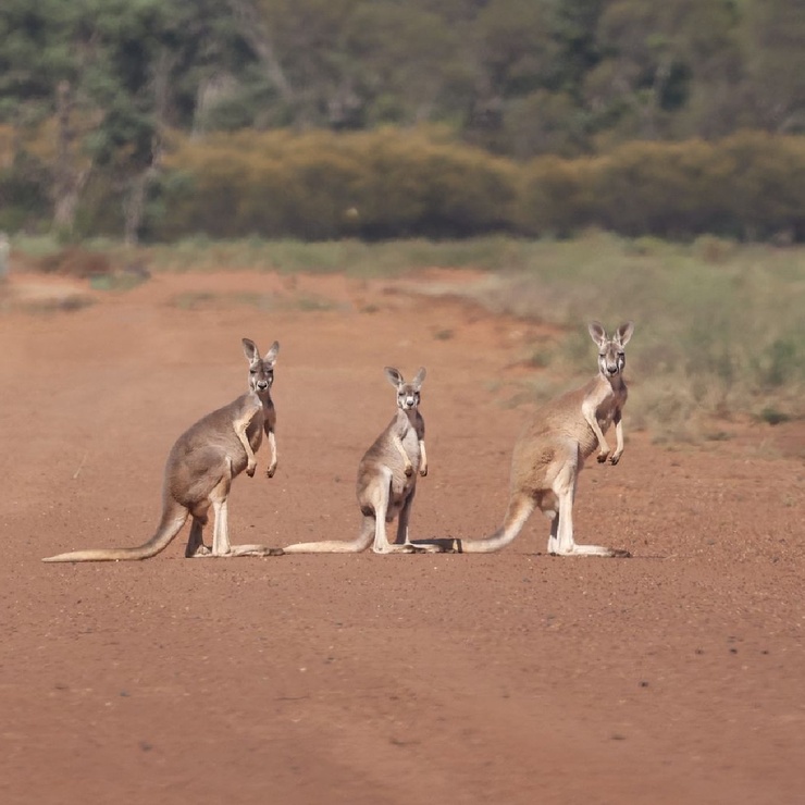 Australia