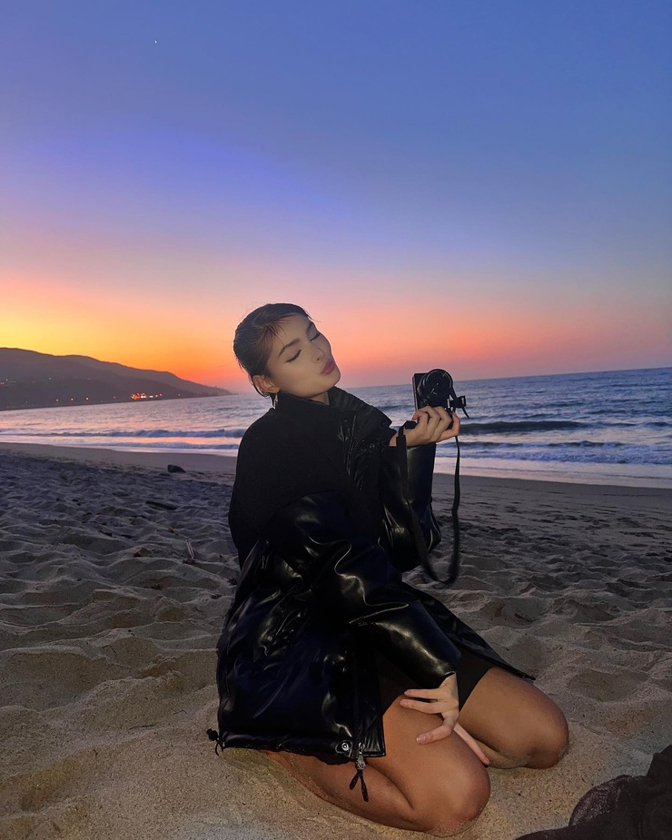 Brighton Sharbino