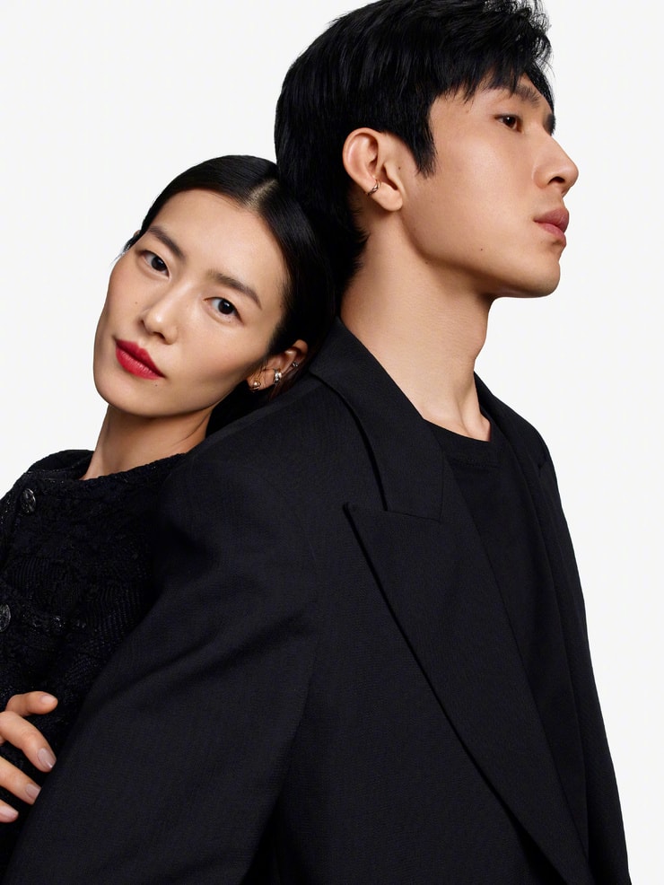 Liu Wen