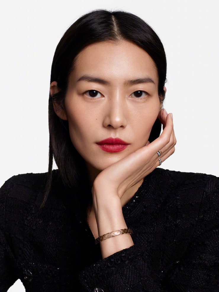 Picture of Liu Wen