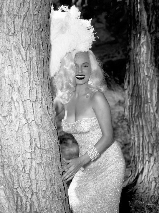 Mamie Van Doren