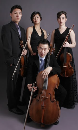 The String Quartet