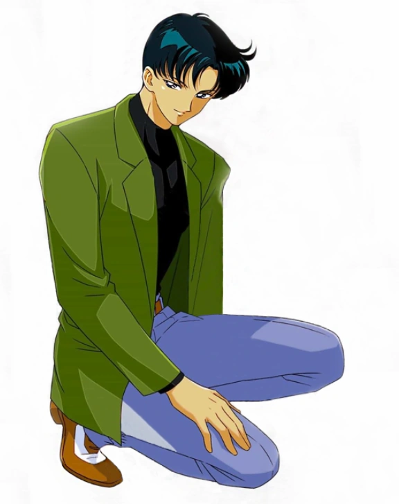 Picture of Mamoru Chiba / Tuxedo Mask