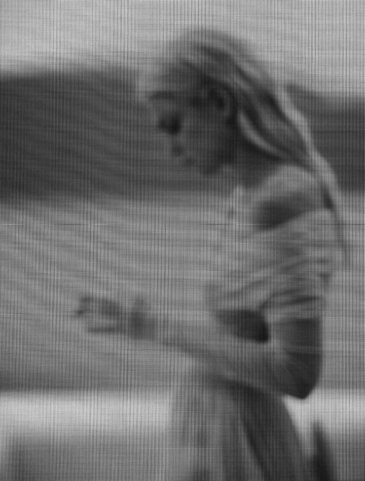 Jessica Stam