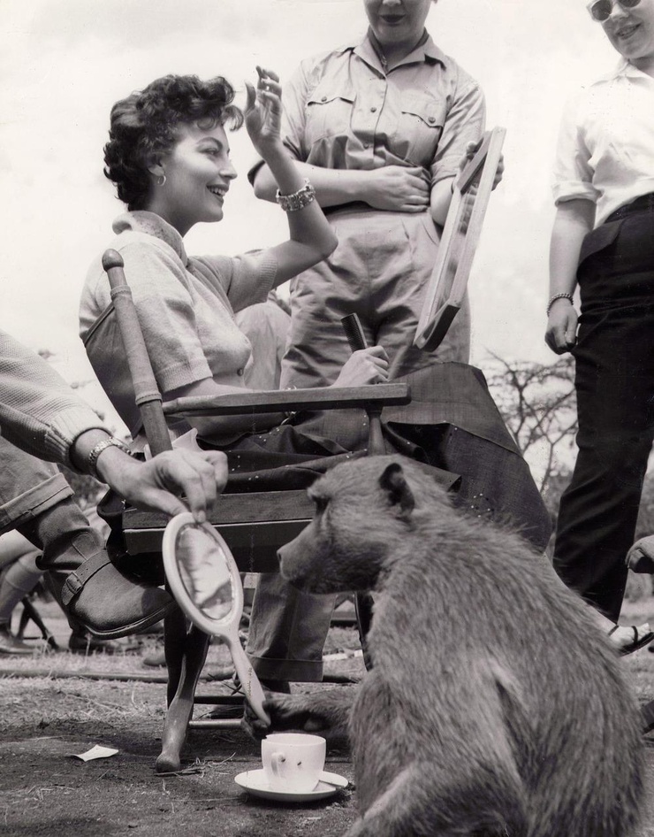 Ava Gardner