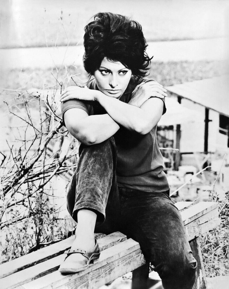 Sophia Loren Sophia Loren