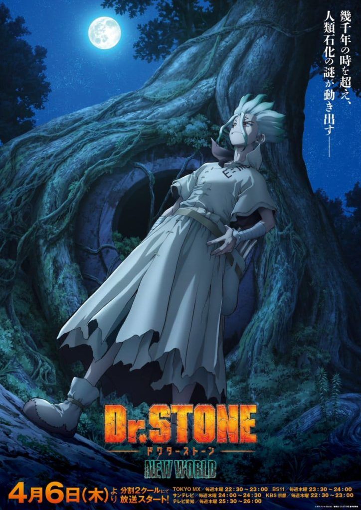 Dr. Stone