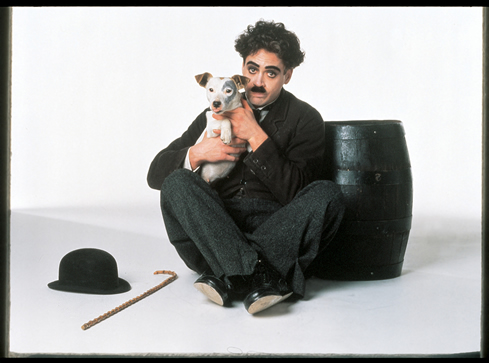 Robert Downey Jr.