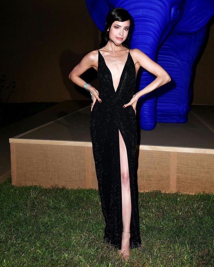 Sofia Carson